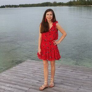 Misa Los Angeles Dress XS